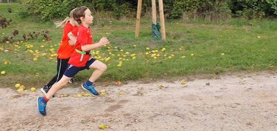 Foto des Albums: Schorfheidelauf Altkünkendorf, 11.09.2022 (16.​09.​2022)