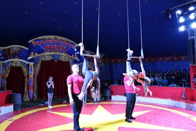 Foto des Albums: Zirkus-Probe