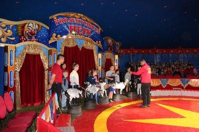 Foto des Albums: Zirkus-Probe