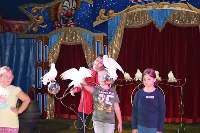 Foto des Albums: Zirkus-Probe