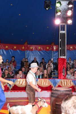 Foto des Albums: Zirkus-Galavorstellung