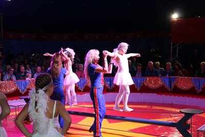 Foto des Albums: Zirkus-Galavorstellung