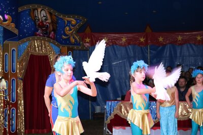 Foto des Albums: Zirkus-Galavorstellung