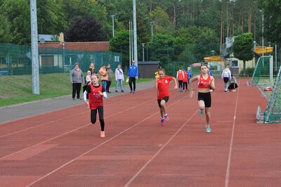 Foto des Albums: Torgelower Bahnabschluss, 17.09.2022 (23.​09.​2022)