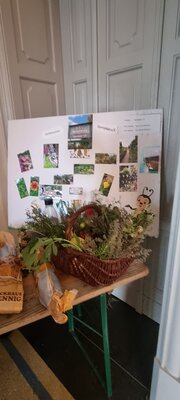 Foto des Albums: 15. Obstausstellung