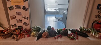 Foto des Albums: 15. Obstausstellung