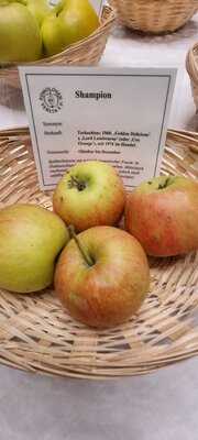 Foto des Albums: 15. Obstausstellung