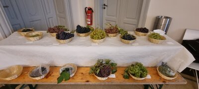 Foto des Albums: 15. Obstausstellung