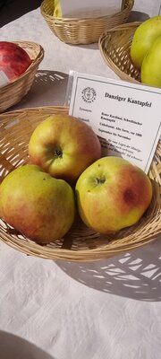 Foto des Albums: 15. Obstausstellung