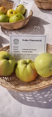 Foto des Albums: 15. Obstausstellung