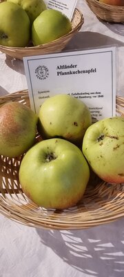 Foto des Albums: 15. Obstausstellung