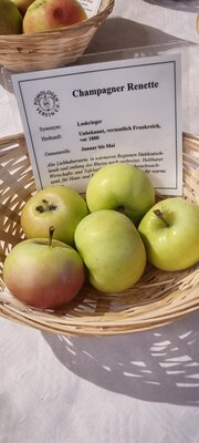 Foto des Albums: 15. Obstausstellung