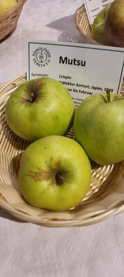 Foto des Albums: 15. Obstausstellung