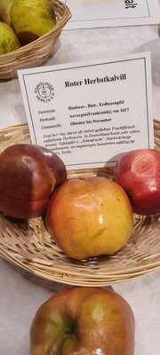Foto des Albums: 15. Obstausstellung