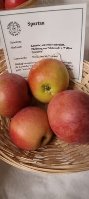 Foto des Albums: 15. Obstausstellung