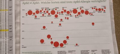 Foto des Albums: 15. Obstausstellung
