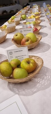 Foto des Albums: 15. Obstausstellung