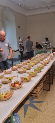 Foto des Albums: 15. Obstausstellung