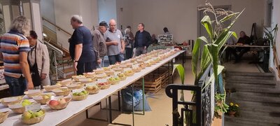Foto des Albums: 15. Obstausstellung