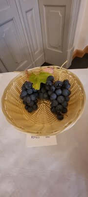 Foto des Albums: 15. Obstausstellung