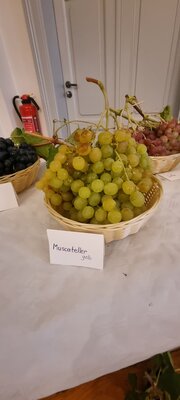 Foto des Albums: 15. Obstausstellung