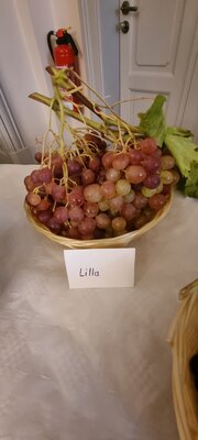 Foto des Albums: 15. Obstausstellung