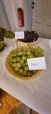 Foto des Albums: 15. Obstausstellung