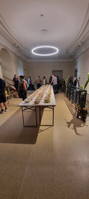 Foto des Albums: 15. Obstausstellung