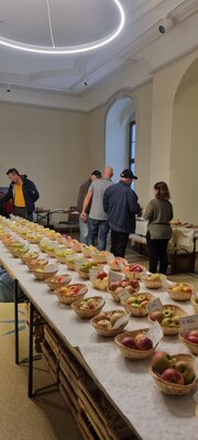 Foto des Albums: 15. Obstausstellung