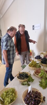 Foto des Albums: 15. Obstausstellung