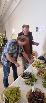 Foto des Albums: 15. Obstausstellung