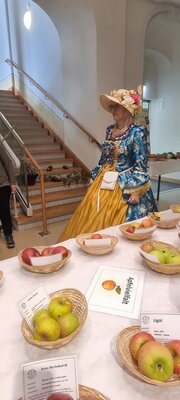 Foto des Albums: 15. Obstausstellung