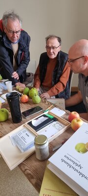 Foto des Albums: 15. Obstausstellung