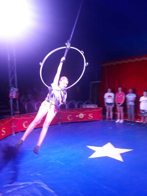 Foto des Albums: Zirkus Projekt