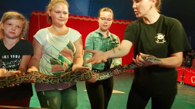 Foto des Albums: Zirkus Projekt