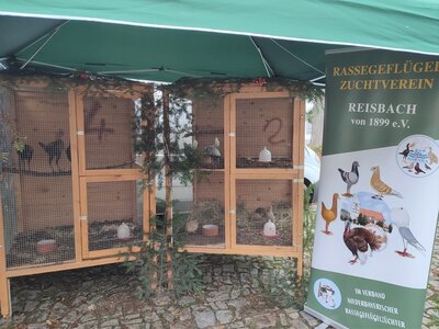 Foto des Albums: Michelimarkt mit vielen Besuchern
