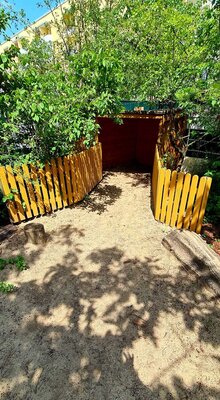 Foto des Albums: Unser Garten