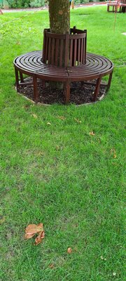 Foto des Albums: Unser Garten