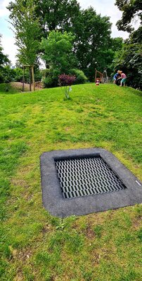 Foto des Albums: Unser Garten