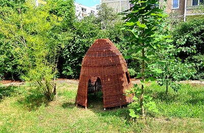 Foto des Albums: Unser Garten