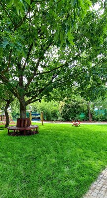 Foto des Albums: Unser Garten
