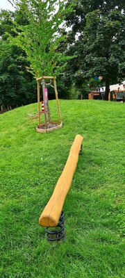 Foto des Albums: Unser Garten
