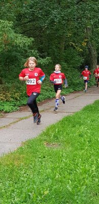 Foto des Albums: Lübbeseelauf Templin, 24.09.2022 (30.​09.​2022)