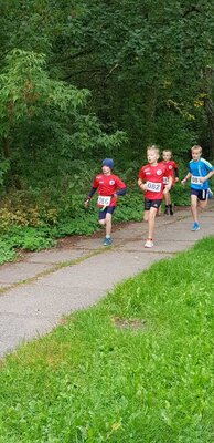 Foto des Albums: Lübbeseelauf Templin, 24.09.2022