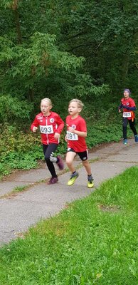 Foto des Albums: Lübbeseelauf Templin, 24.09.2022
