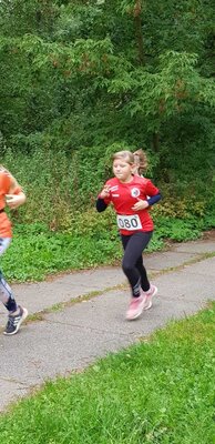 Foto des Albums: Lübbeseelauf Templin, 24.09.2022