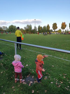 Fans  (Bild vergr&ouml;&szlig;ern)