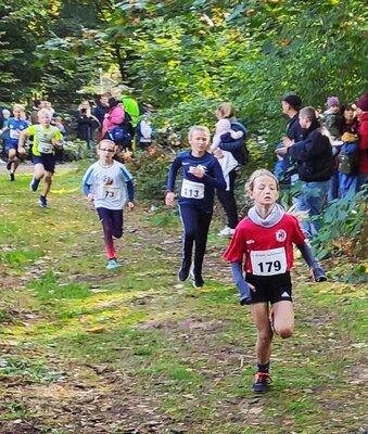 Foto des Albums: Ueckermünder Herbstcross, 03.10.2022 (07.​10.​2022)