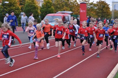 Foto des Albums: Schwedter Herbstlauf, 16.10.2022