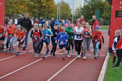 Foto des Albums: Schwedter Herbstlauf, 16.10.2022